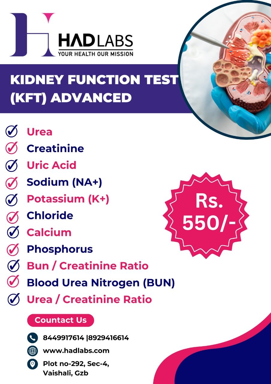 WhatsApp Image 2025-11-29 at 2.20.56 PM (2)